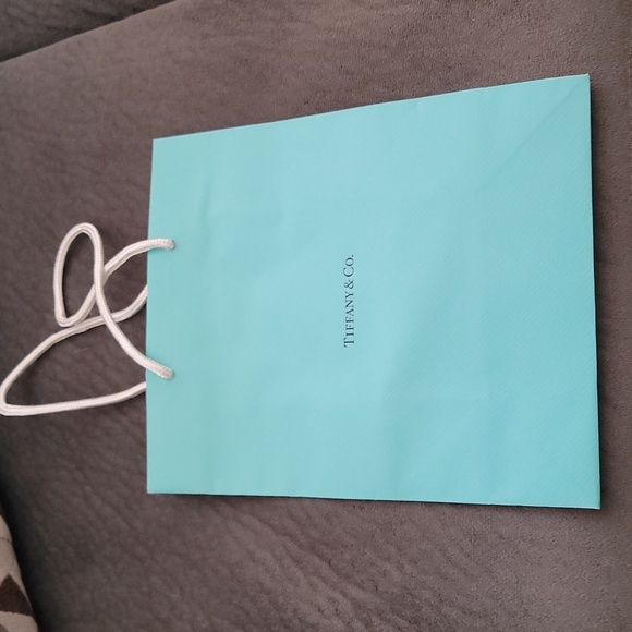 Tiffany & Co Shopping paper gift bag - Picture 1 of 2